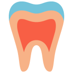 periodontia